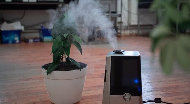 Investing in Home Air Purifiers in Times of Covid